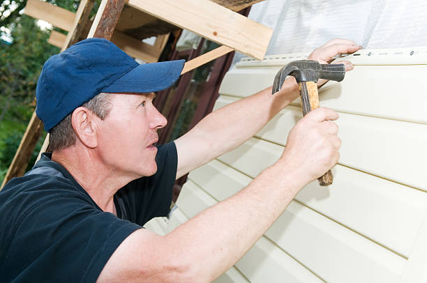 Best Siding Painting and Refinishing  in Arthur, IL